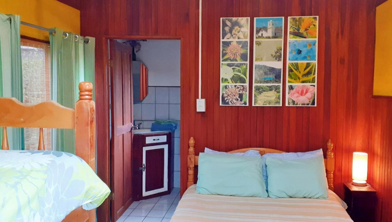 Montana Linda Guest House Orosí Exteriör bild