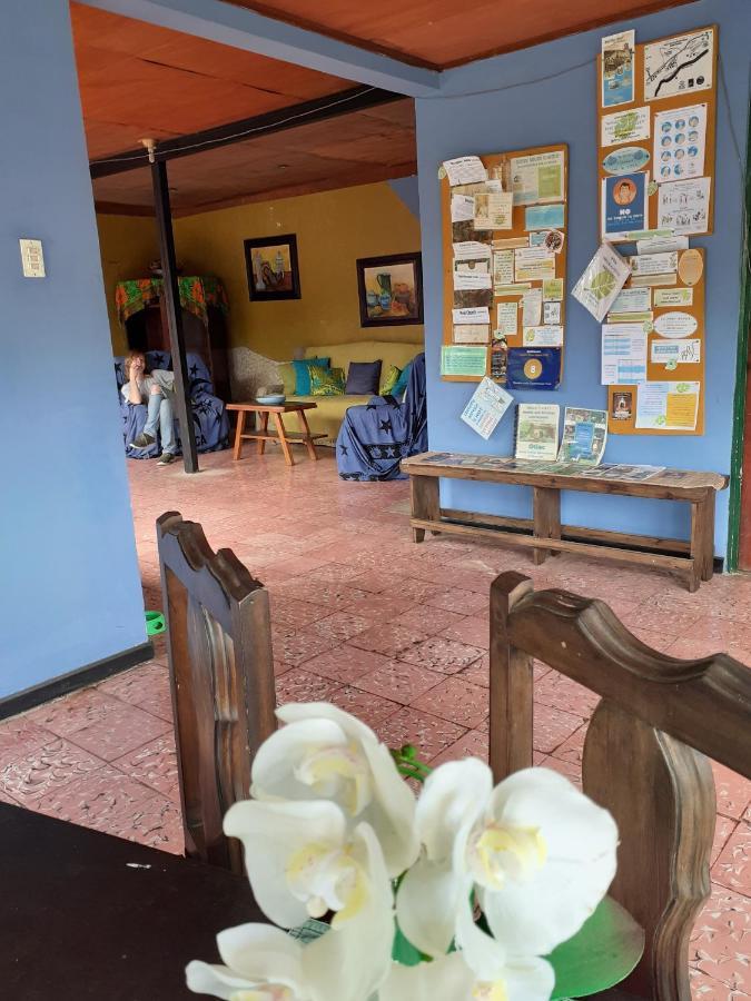 Montana Linda Guest House Orosí Exteriör bild