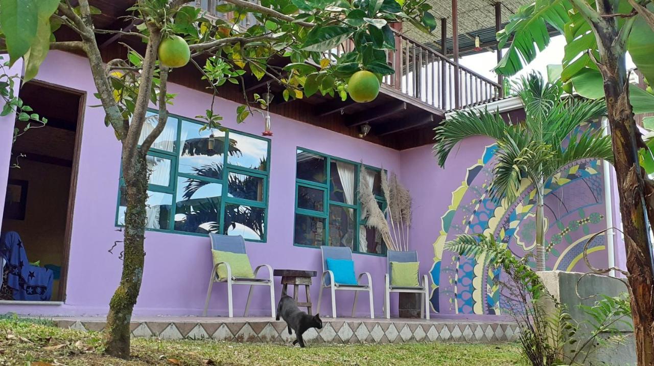 Montana Linda Guest House Orosí Exteriör bild